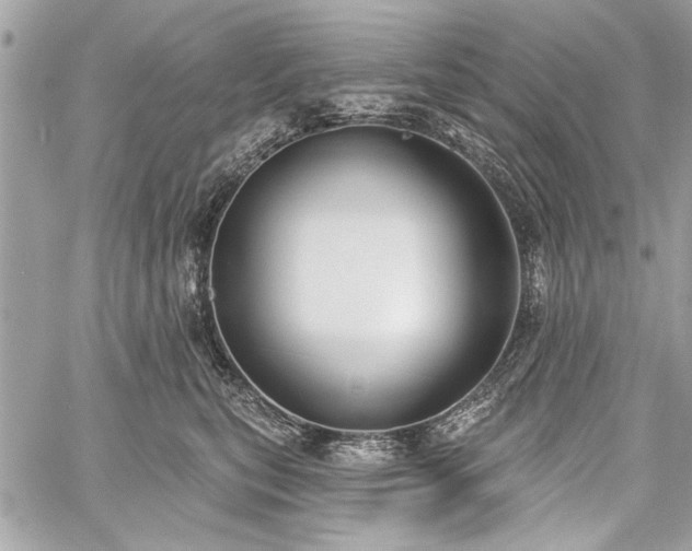 X0000060240567200510281122