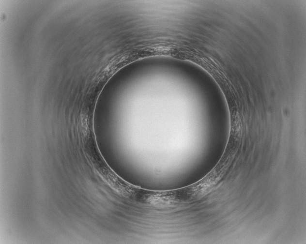 X0000060240568200510281122