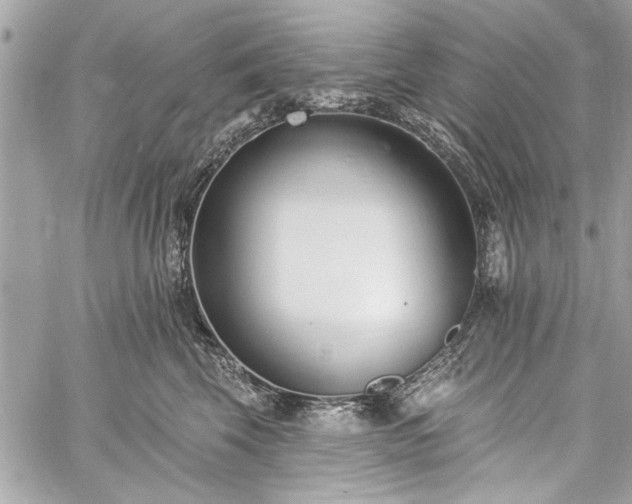 X0000060240569200510281122