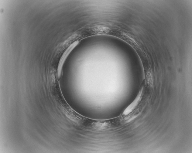 X0000060240570200510281122