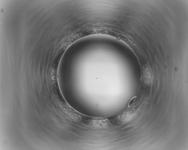 X0000060240571200510281122