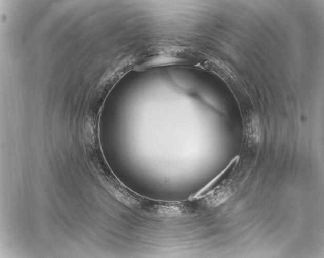 X0000060240572200510281122