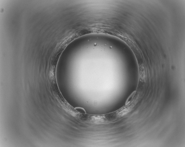 X0000060240573200510281122