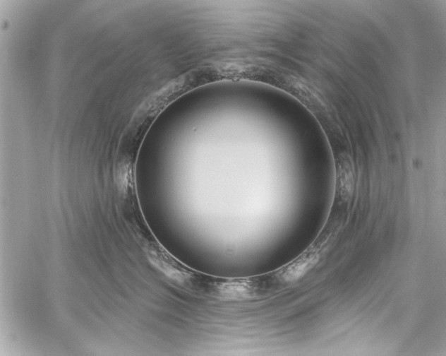 X0000060240574200510281122