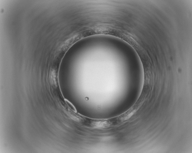 X0000060240575200510281122