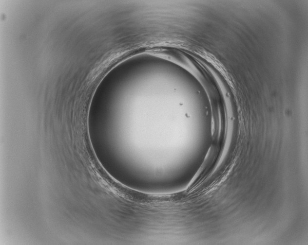 X0000060240577200510281121