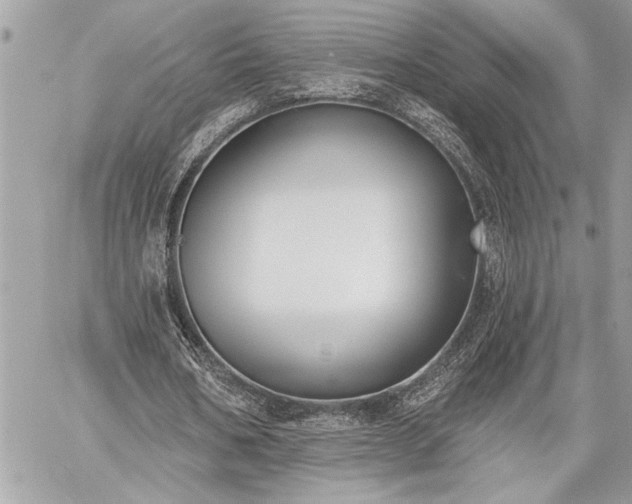 X0000060240578200510281121