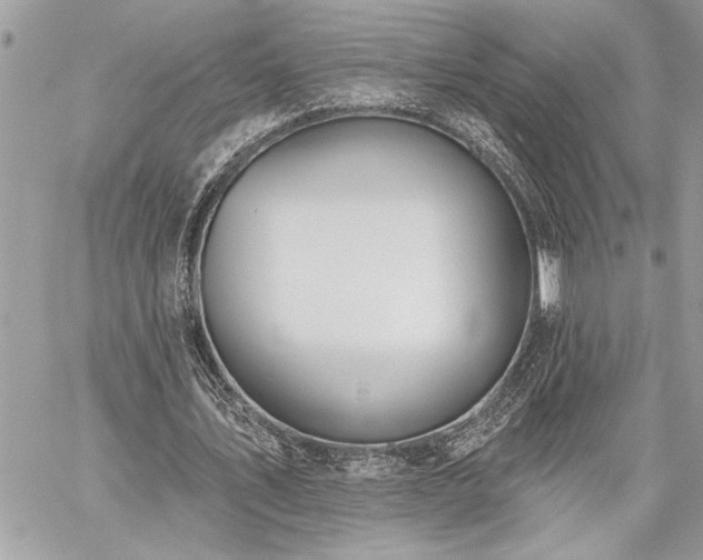 X0000060240579200510281121