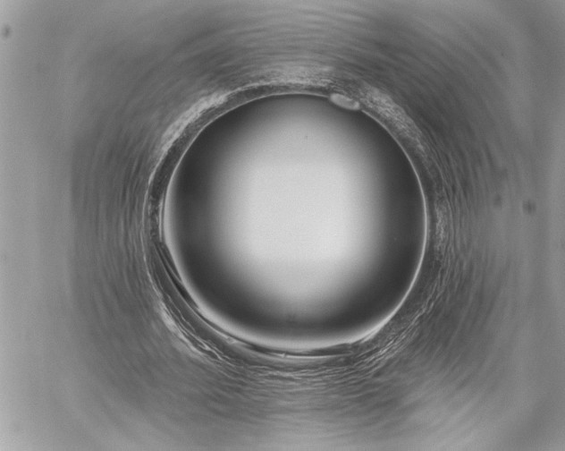 X0000060240580200510281121