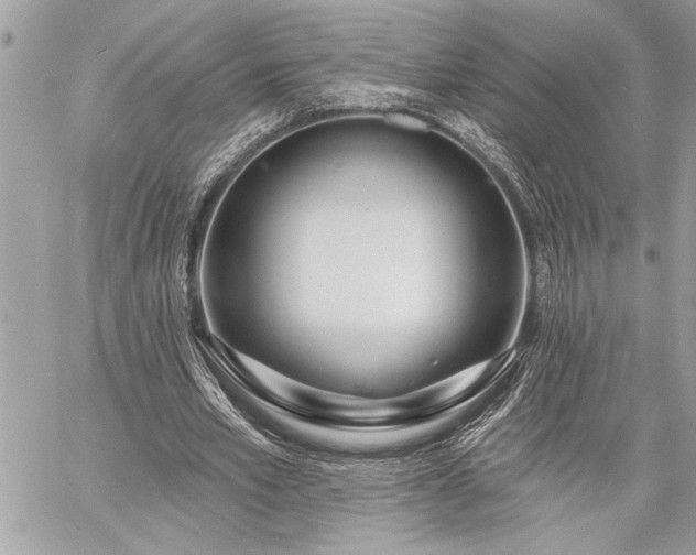 X0000060240581200510281121