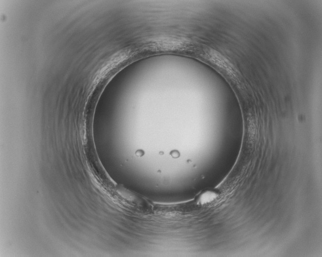 X0000060240582200510281121