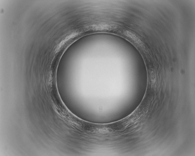 X0000060240583200510281121