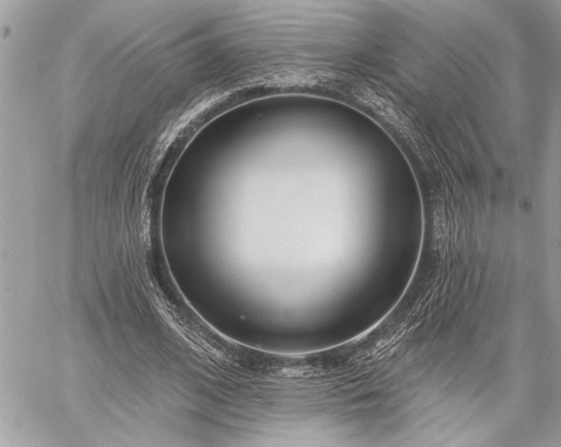 X0000060240584200510281121