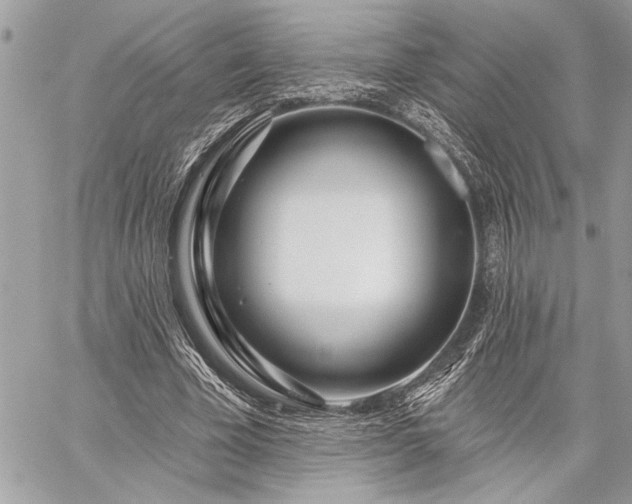 X0000060240585200510281121