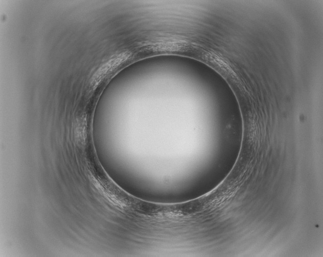 X0000060240586200510281121