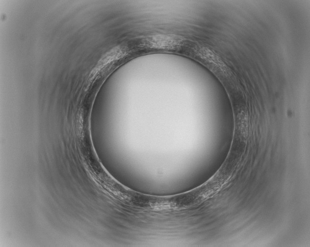 X0000060240587200510281121