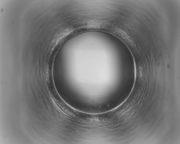 X0000060240588200510281121