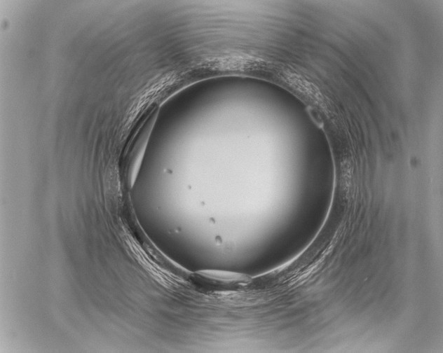 X0000060240589200510281121