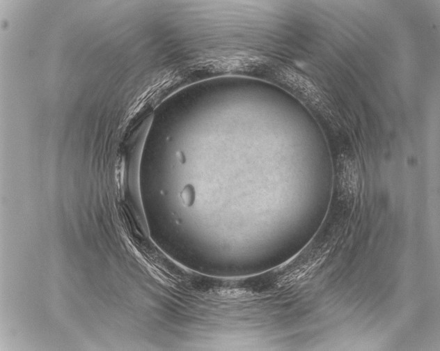 X0000060240590200510281121