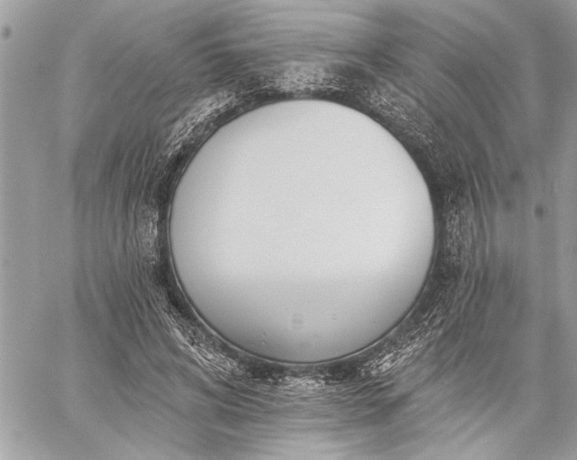 X0000060240592200510281121