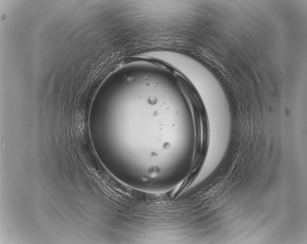 X0000060240593200510281121