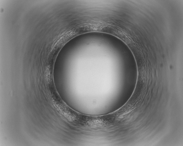 X0000060240594200510281121