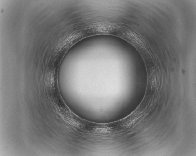 X0000060240595200510281121