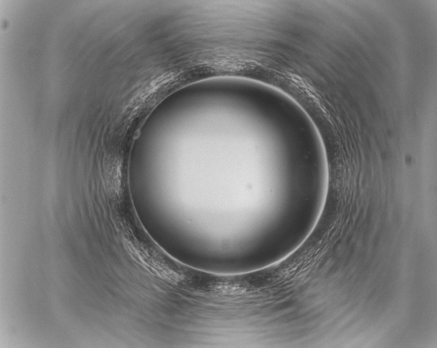 X0000060240596200510281121