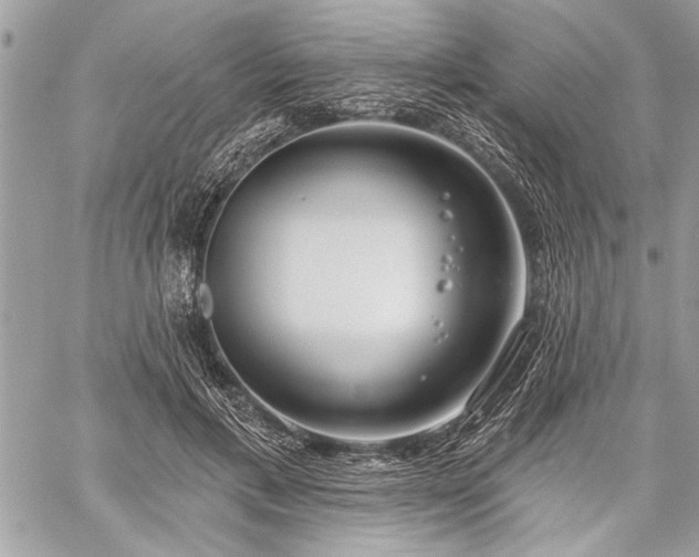 X0000060240597200510281121