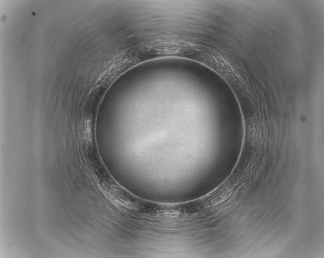 X0000060240598200510281121