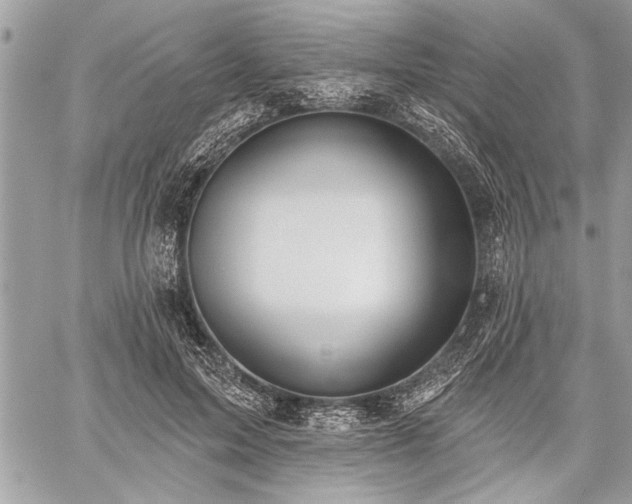 X0000060240599200510281121