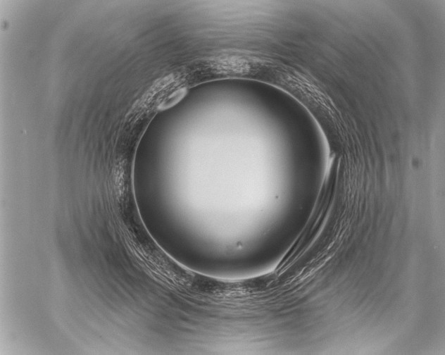 X0000060240600200510281121