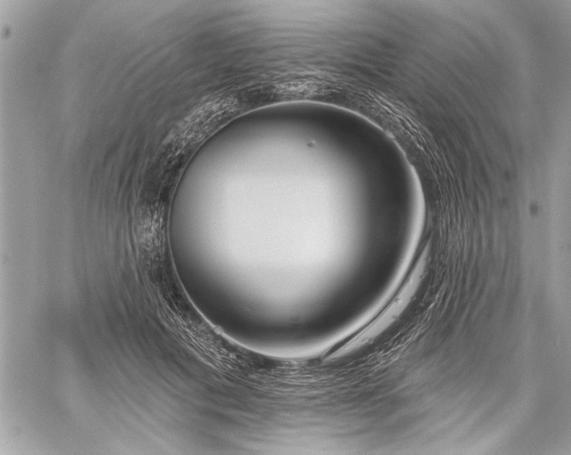 X0000060240601200510281121