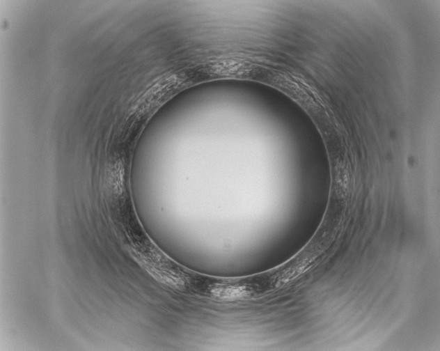 X0000060240602200510281121