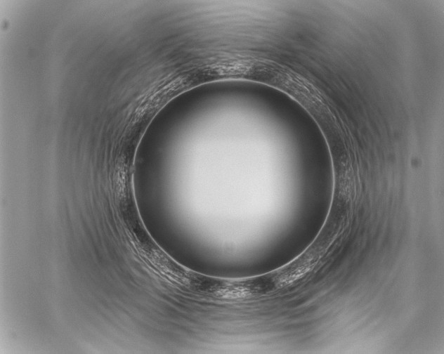 X0000060240604200510281121