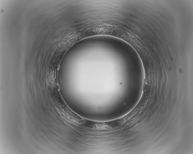 X0000060240605200510281121