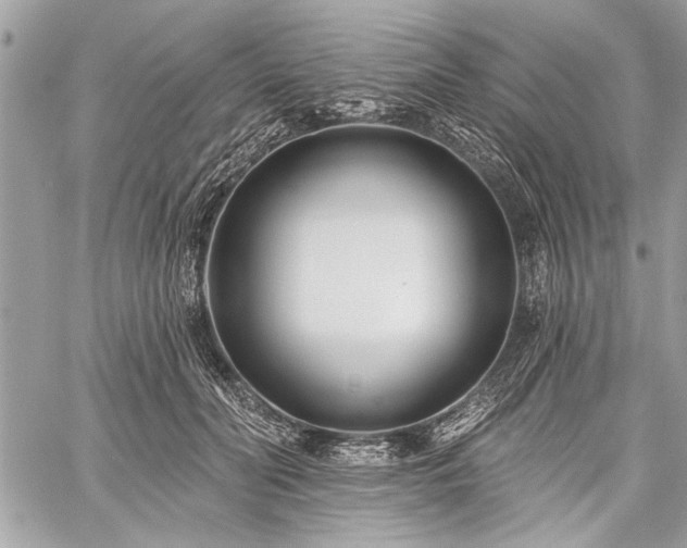 X0000060240606200510281121