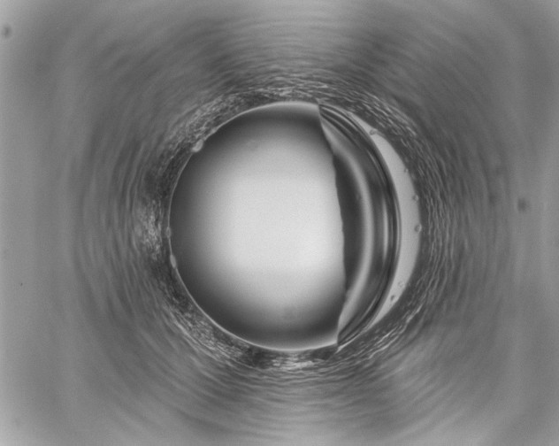 X0000060240607200510281121