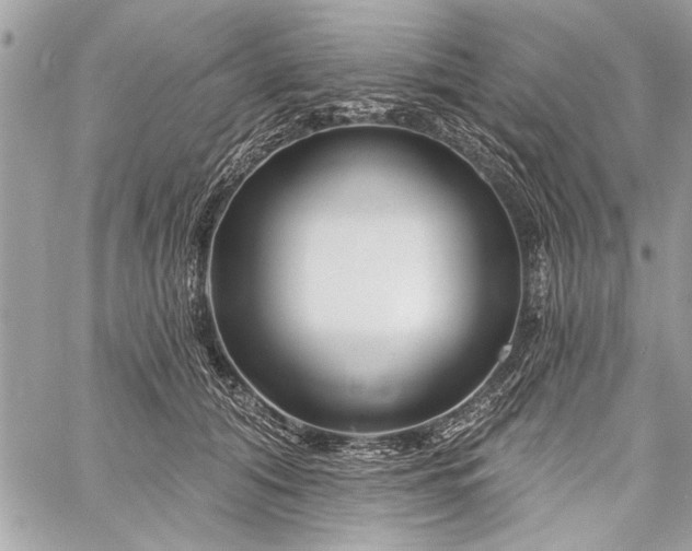 X0000060240608200510281121