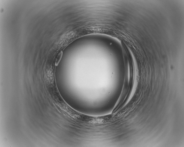 X0000060240609200510281121