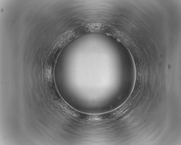 X0000060240610200510281121