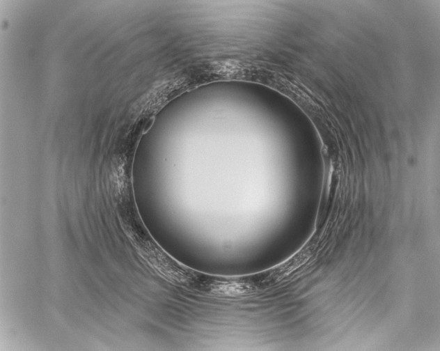 X0000060240611200510281121