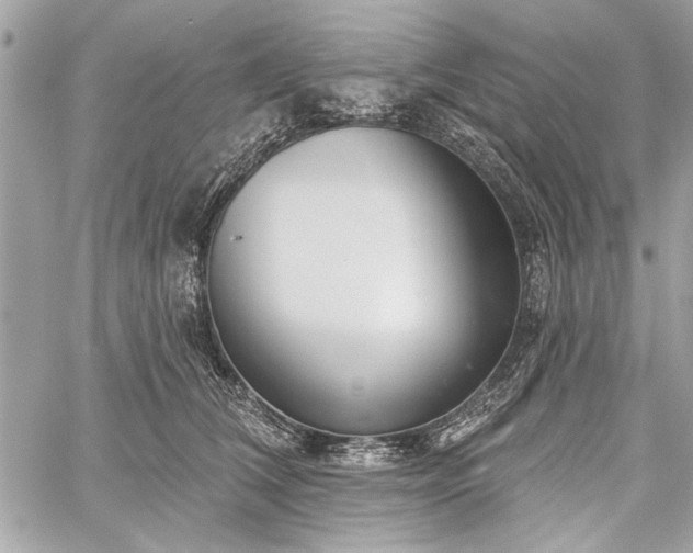 X0000060240612200510281121