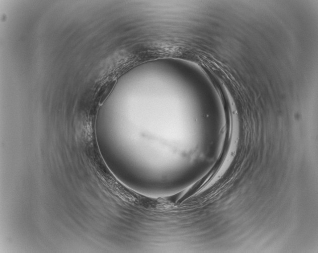 X0000060240613200510281121