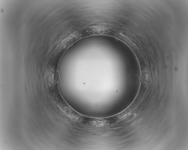 X0000060240615200510281121