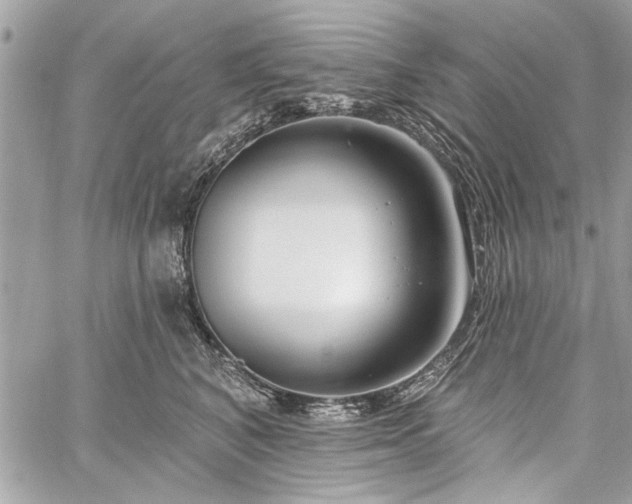 X0000060240616200510281121