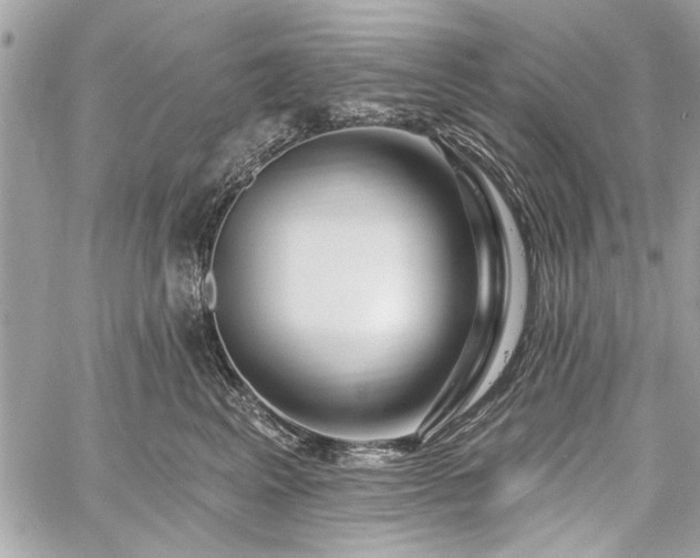 X0000060240617200510281121