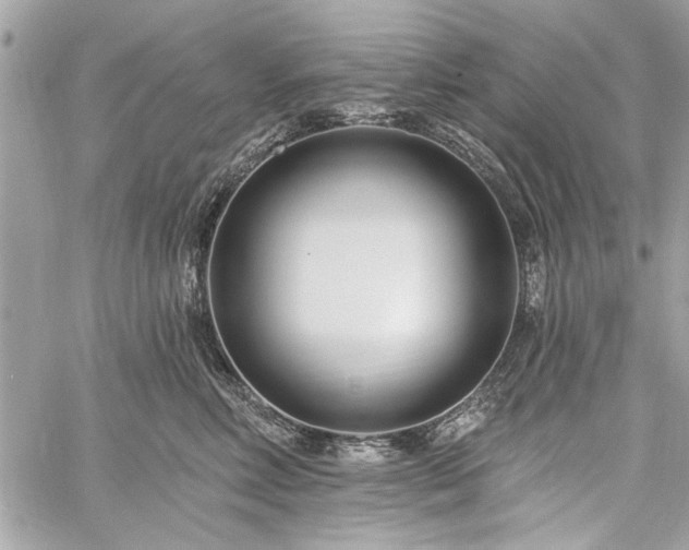 X0000060240618200510281120