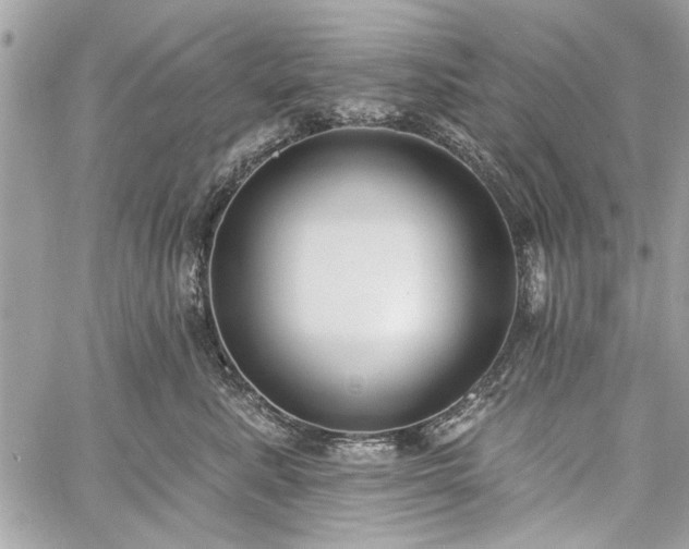 X0000060240619200510281120