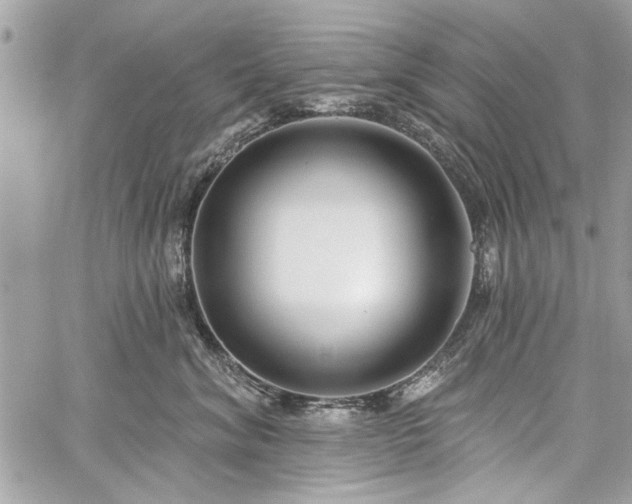 X0000060240620200510281120